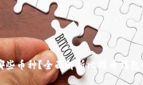 比特币钱包支持哪些币种？全面解析比特币钱包的多币种存储能力