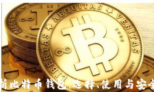 
全面解析比特币钱包：选择、使用与安全性指南