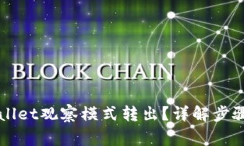 如何将TPWallet观察模式转出？详解步骤与注意事项