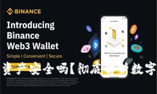 tpwallet上的资产安全吗？彻底解析数字资产的真实性